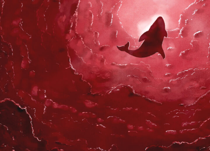 Cream Whale Blood Whale 앨범 자켓