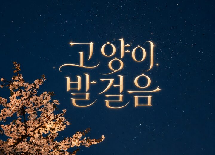 벽(Wall) 고양이 발걸음 앨범 자켓