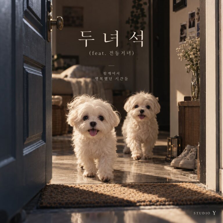 스튜디오 연 두녀석 앨범 자켓