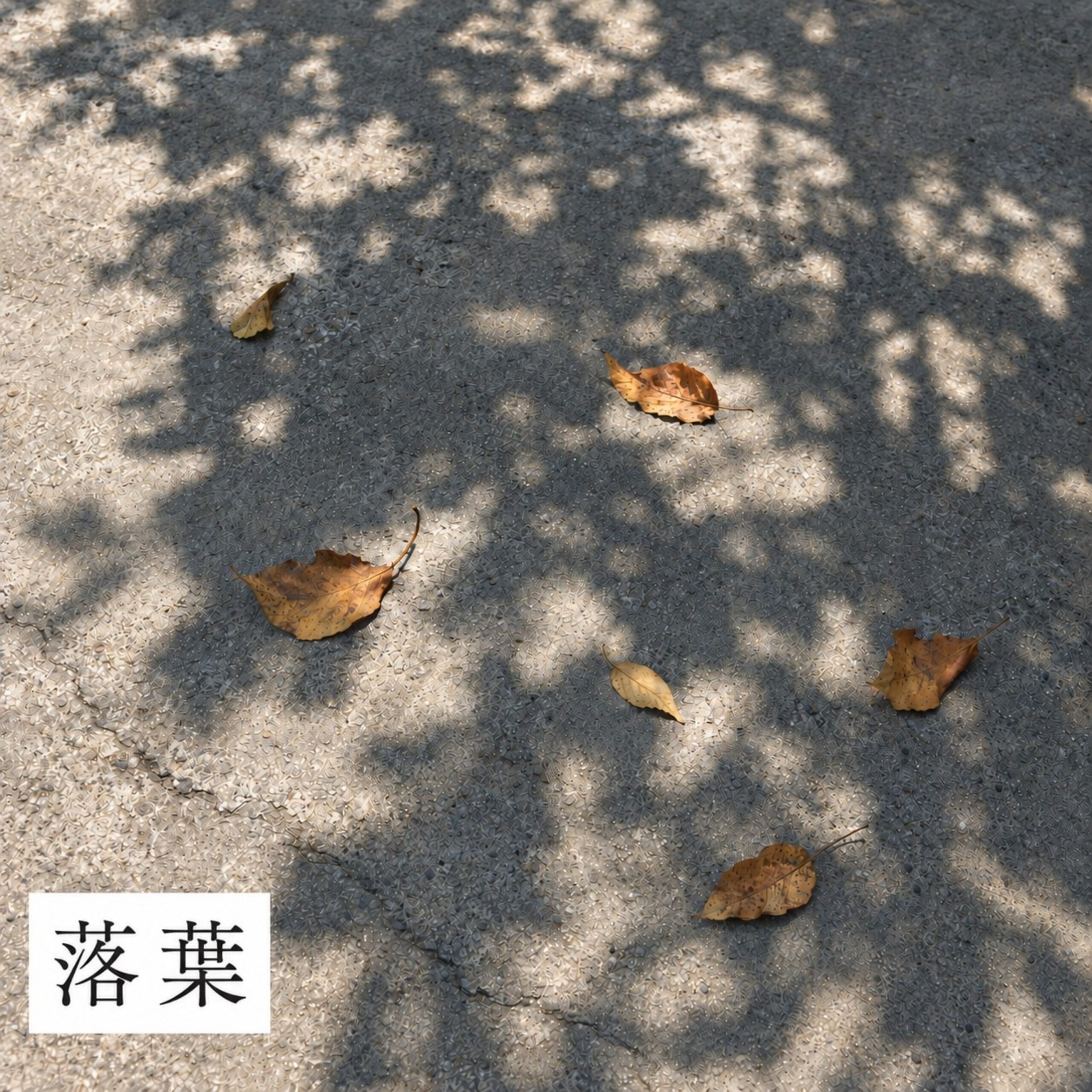 YOOZ Fallin' Leaves 앨범 자켓